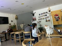 -平行世界·猫咖(首经贸店)