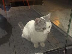-火星工厂·桌游·团建聚会·轰趴馆(厦滘店)