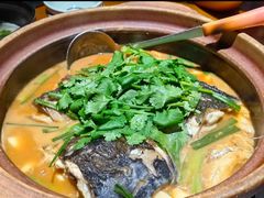 -九道菜有鸡鱼头(石鼓路店)