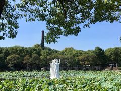 -谷咖啡·鲜花绿植花园餐厅