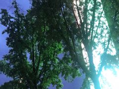 -成都华侨城欢乐里