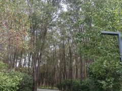 -东郊湿地公园