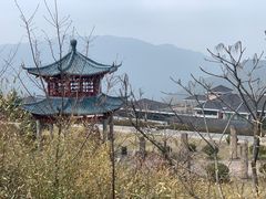 -江南天池