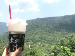 -呀诺达热带雨林