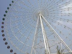 -凤凰欢乐大世界