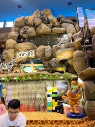 -卡通尼·Safari非洲探索乐园·生日会(金桥国际商业广场店)