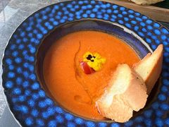 -Hi City·城市之巅