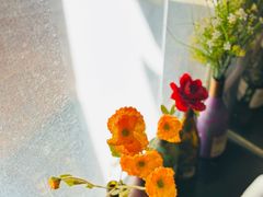 -LESCEDARS Brasserie Bistro香柏树