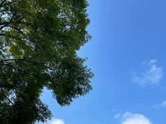 -范蠡湖公园