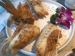 -淘米捞·米汤脆鲩鱼火锅(福田皇岗店)