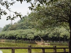 -李小龙乐园(顺德均安店)