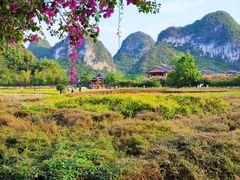 -靖西鹅泉风景区