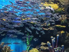 -华夏文旅海洋公园