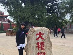 -大槐树寻根祭祖园