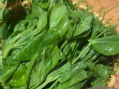 -巴奴毛肚火锅(龙湖锦艺城店)