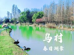 -乌镇景区