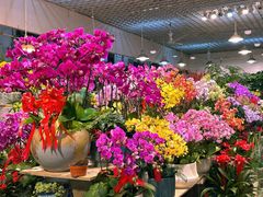 -双季花艺园艺市场(浦东店)