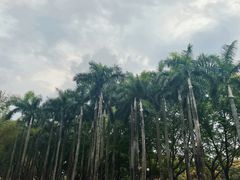 -荔香公园
