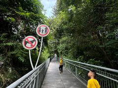 -佛山华盖山公园