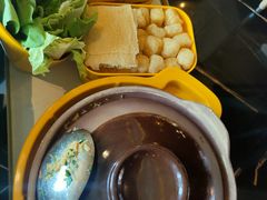 -润园四季椰子鸡火锅(海上世界店)