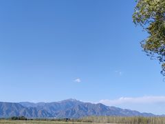 -野鸭湖国家湿地公园