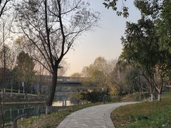 -洋湖国家湿地公园