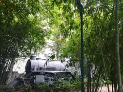 -晓港公园
