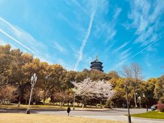 -浙江西子宾馆·牡丹厅