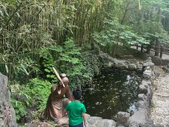 -四门塔风景区