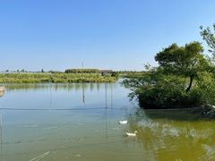 -美家乐农庄·露营·团建(大治路店)