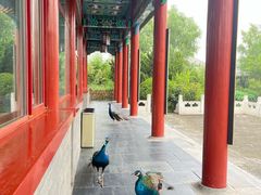 -有喜胶东小馆(超极合生汇太申祥和店)