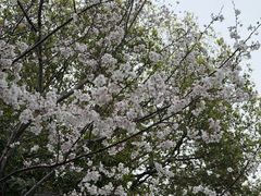 -龟山风景区-龟山电视塔
