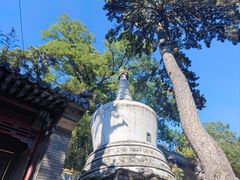 -潭柘寺景区