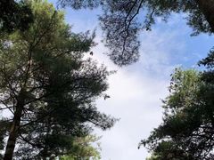 -洛阳白云山景区