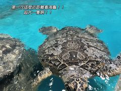 -正佳极地海洋世界