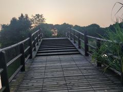 -苏州太湖国家湿地公园