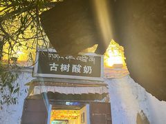 门面-古树酸奶(八廓南街店)