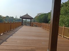 -大湾区中央湿地公园