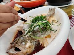 -椿记烧鹅(叠彩店)