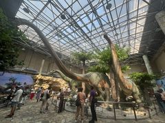 -国家自然博物馆