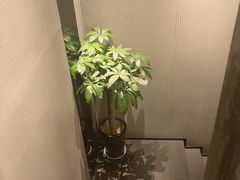 -大唐盲人按摩中心(科大先研院店)