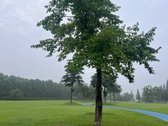-宜兴龙背山森林公园