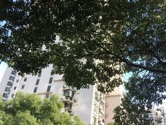 -苏州河梦清园环保主题公园