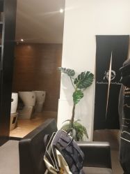 点击看大图 -东方麒麟·潘多拉SALON