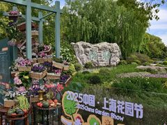 -上海鲜花港