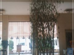 -春兰国宾馆(凤城河风景区老街店)