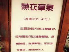 iphone_upload_pic-南京汤山紫清湖生态旅游温泉度假区