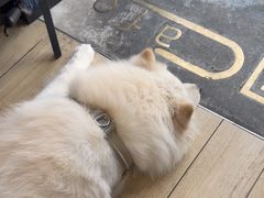-OZ cafe(南昌路店)
