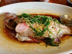 -顺德了能馆(虎门店)
