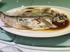 刀鱼-聚春园自助餐厅(东街口店)